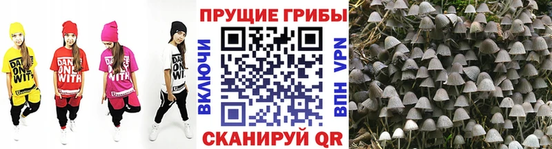 Галлюциногенные грибы мицелий  Ленинск 